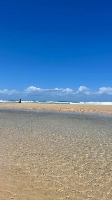 Casa Novo Campeche Floripa Fecasdicas House Holiday home